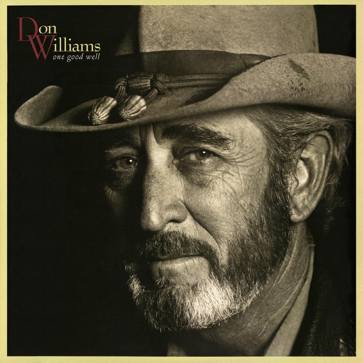 One Good Well album cover